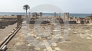 Baelo Claudia, archaeological site and Bolonia beach. A charming place.