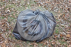 A bag of black garbage on the background of a lawn close-up.