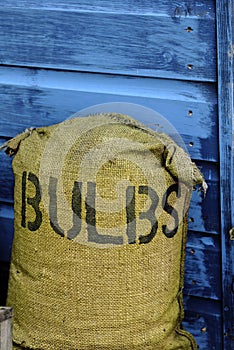 Bag of bulbs