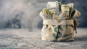 The bag of cash.AI generated image