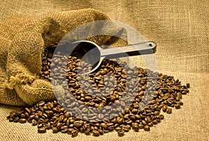 Bag of Coffee Beans With Scoop REVISED