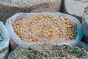 Bag of corn kernels