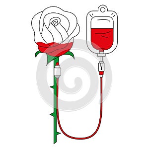 A bag of donated blood pumps blood into a rose, minimalism. Blood transfusion and donation concept. Medicine logo design, donation