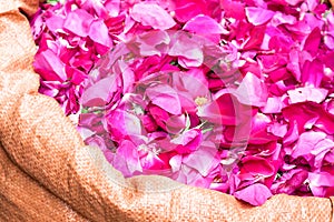 Bag of edible rose petals