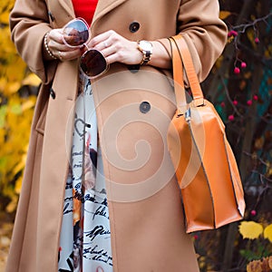 Bag in female hands closeup. Sunglasses in the hands woman. Fashion ladies accessories, bracelets, eyeglasses.
