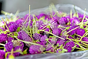 Bag of flowers  at Pak Khlong Talat, Bangkok flower market - Thailand