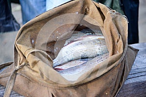 A bag full of fresh mountain fish.