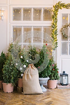 Bag with gifts, Christmas trees near the entrance doors of a private house decorated for the New Year