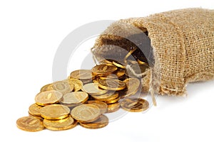 Bag with gold coins