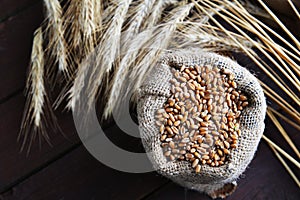 Bag with grain