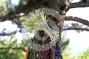 The bag hangs on the tree. Traveler`s backpack with bouquet of wild flowers