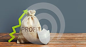 Bag with inscription Profit, a green arrow up and shield. Concept of protection of money, guaranteed deposits. Increasing