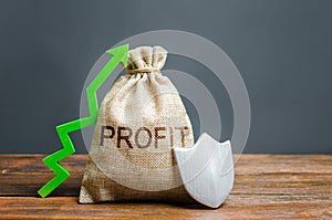 Bag with the inscription Profit, green up arrow and silver shield. concept of growth and protection of investments and income