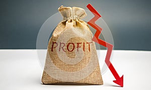 Bag with money and word profit and down arrow. Unsuccessful business and poverty. Profit decline. Loss of investment. Low wages.