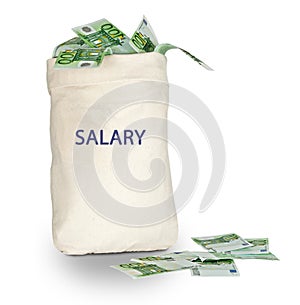 Bag with salary