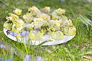 Bag-style pancakes on the grass