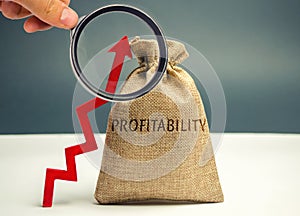 Bag with the word Profitability and an up arrow. High economic efficiency and profitableness. Business development assessment. The photo