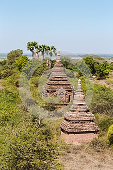 Bagan, Myanmar - FEB 21th 2014: Landscape view with silhouettes