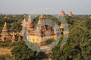Bagan temple field