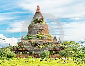 Bagan temples, Myanmar