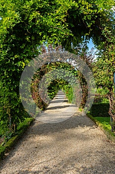 Bagatelle garden arcades in Paris - France