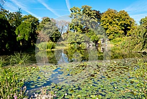 Bagatelle gardens, Bois de Boulogne