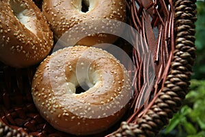 Bagels fresh Bread Bakery Food Sesame Healthy Traditional