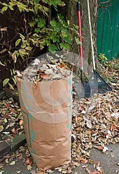 Bagging fall Leaves