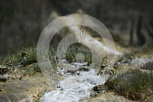 Bagno vignoni old pool