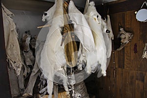 Bagpipes from goatskins, skins and tambourine