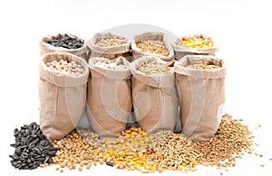 Bags with cereal grains isolated