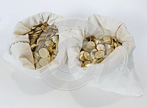 Bags of coins on white background