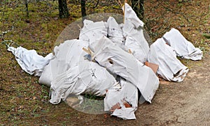 Bags with construction debris lie on a forest glade