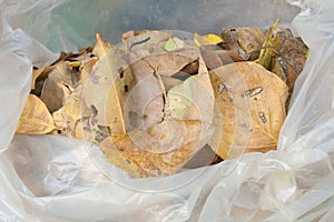 Bags of dry leaves