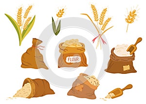 Bags flour and wheat ears set. Wheat, rye, rye ear, symbol of farming, bread, harvest. Whole stems, an organic vegetarian element