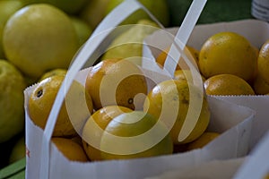 Bags of fresh florida grown oranges