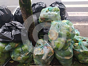 Bags full of coconuts wrongly discarded in front of a public park in Sao Paulo, Brazil