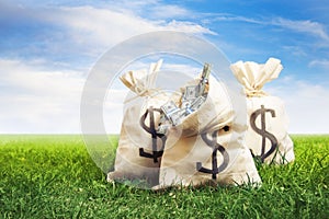 Bags full of money on grass