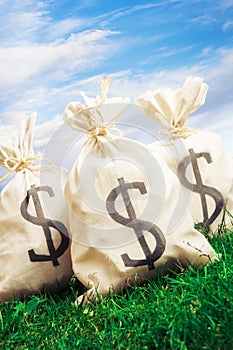 Bags full of money on grass