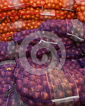 Bolsas de cebolla 