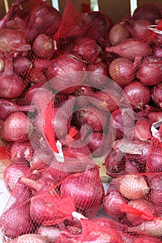 Bags of onions 2929