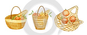 Baguette and oranges in the watercolor set. Oranges and franch bread in the net bag and basket.