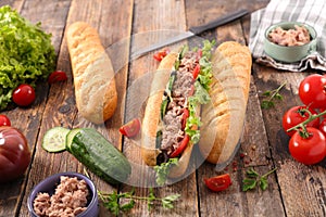 Baguette with tomato, cucumber, salad and tuna fish