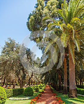 Bahai Garden in Haifa, Israel.