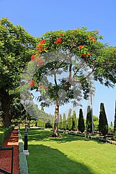 Bahai gardens in Acre Akko, Haifa, Israel