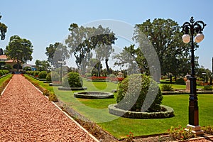 Bahai Gardens, a beautiful green lawn, wild grapes with flowerpots