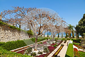 Bahai gardens at Haifa, Israel