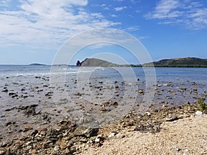 Bahamas Beach with Rocks and Shells