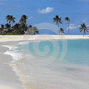 Bahamas Beach Scene