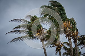 Bahamské ostrovy hurikán 